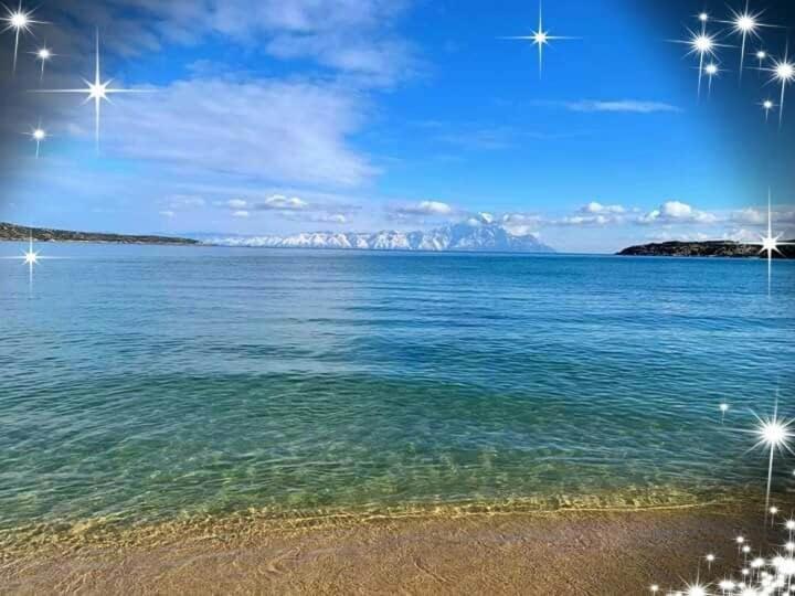 Apartmenthotel Sithon Sarti Bagian luar foto